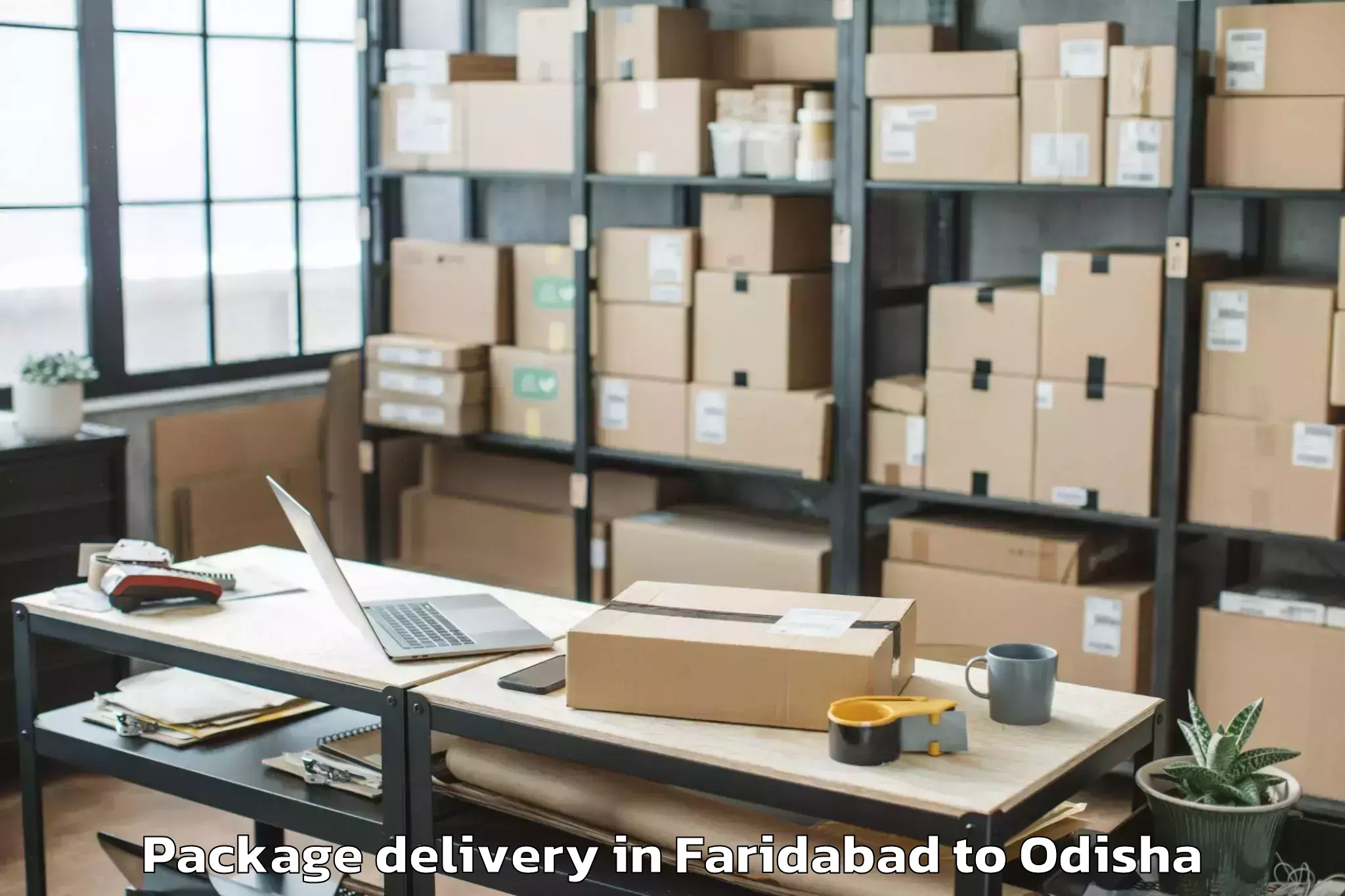 Quality Faridabad to Khamar Package Delivery